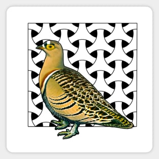 Yellow dove with decorated background Magnet